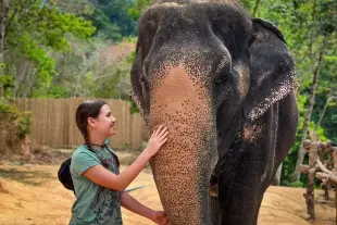 Wildlife Experience